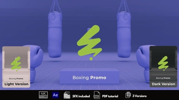 Videohive Boxing Promo