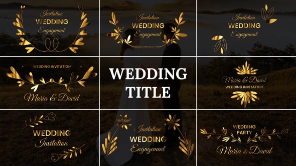 Videohive Wedding Title 54669612