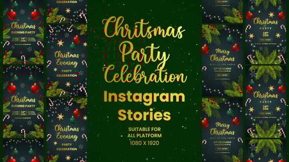 Videohive Christmas Celebration Party Invitation Instagram Stories