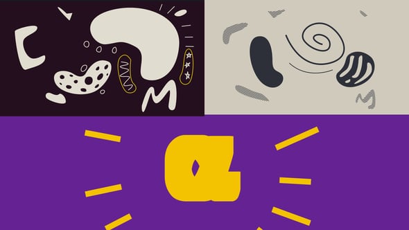 Videohive Freestyle Logo Intro