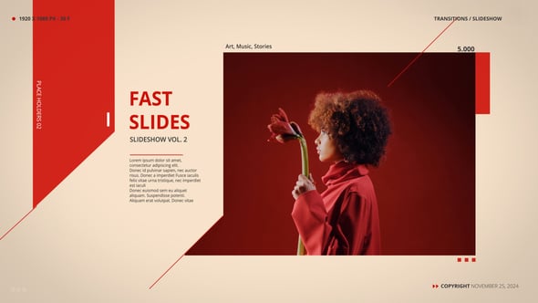 Videohive The Slideshow 55500004