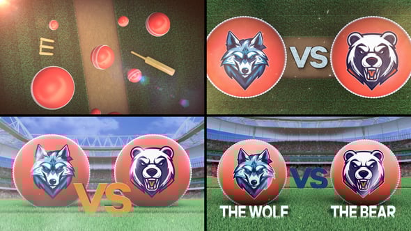 Videohive Cricket VS
