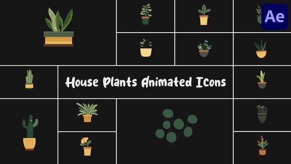 Videohive House Plants Animated Icons for After Effects
