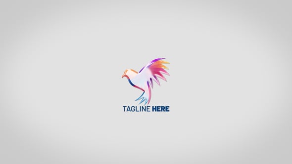 Videohive Logo Reveal 55784922