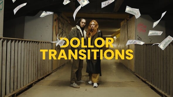 Videohive Dollar Money Transition