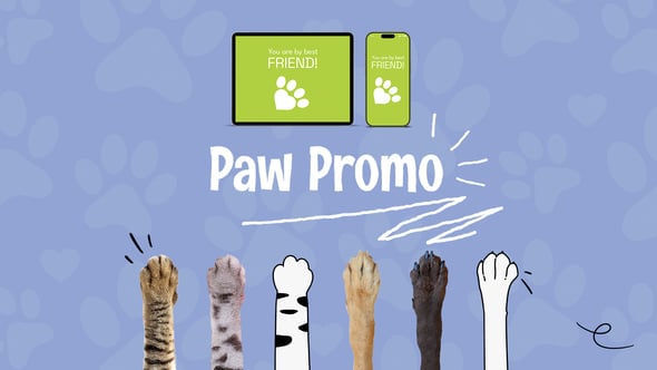 Videohive Paw Promo