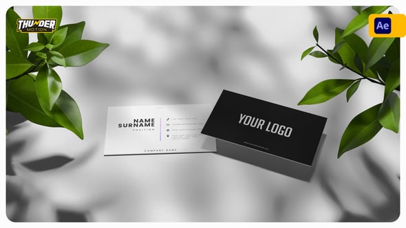 Videohive Elegant Business Card Mockup