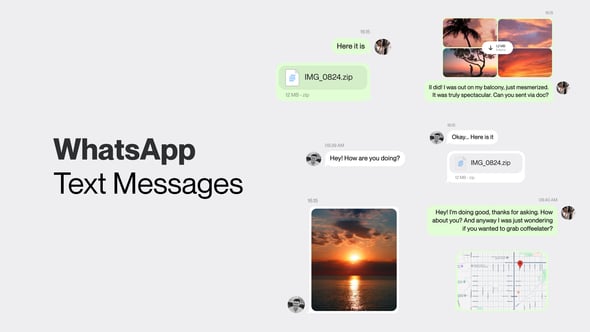 Videohive WhatsApp Message Tool