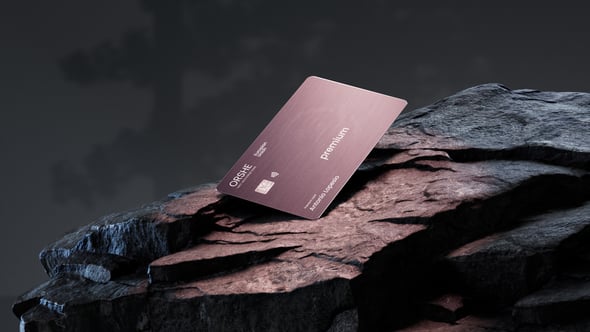 Videohive Credit Card Mockup 56973862