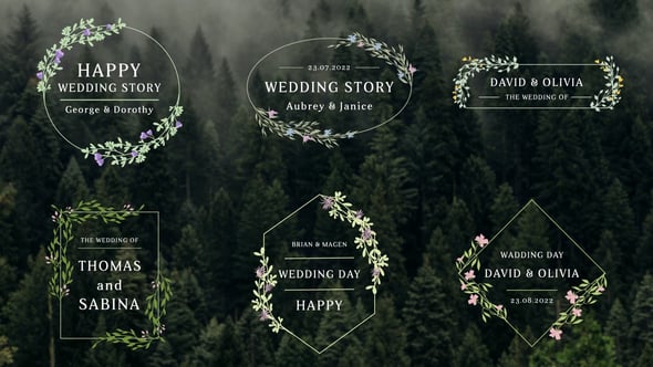 Videohive Romantic Titles 57540262