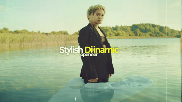 Videohive Stylish Dinamic Opener