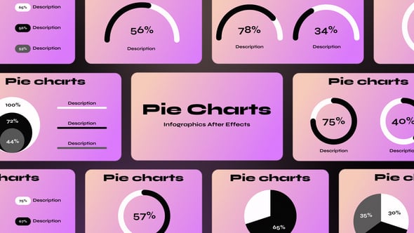 Videohive Pie Charts 56125848