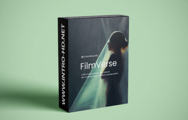 Colorist Foundry FilmVerse Full Plugin V2