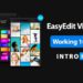 EasyEdit Viewer V3.2.0 For After Effects & Premiere Pro
