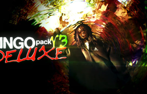 LINGO PACK V3 DELUXE (550+ ASSETS)