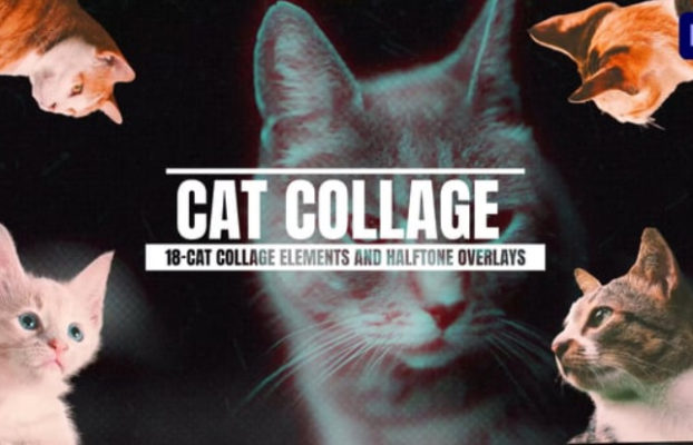 Videohive 18-Cat Collage Elements And Halftone Overlays For Premiere Pro