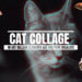 Videohive 18-Cat Collage Elements And Halftone Overlays For Premiere Pro