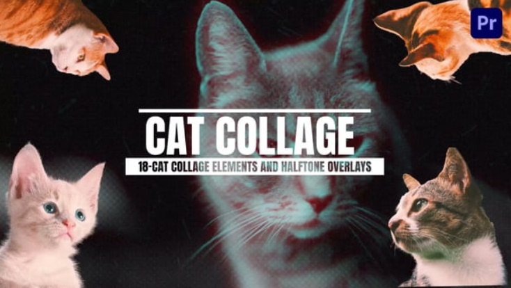 Videohive 18-Cat Collage Elements And Halftone Overlays For Premiere Pro