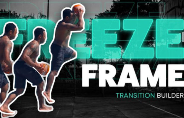 Videohive Animated Freeze Frame Transitions