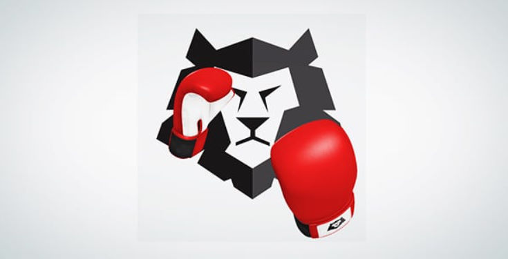 Videohive Boxing Gloves (Punch It!)