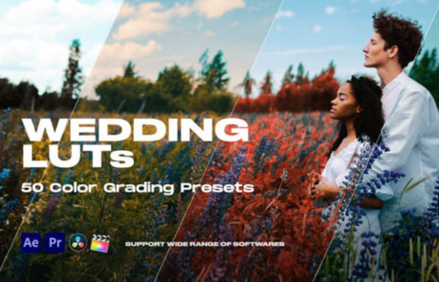 Videohive Colorify Wedding LUTs