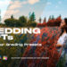 Videohive Colorify Wedding LUTs