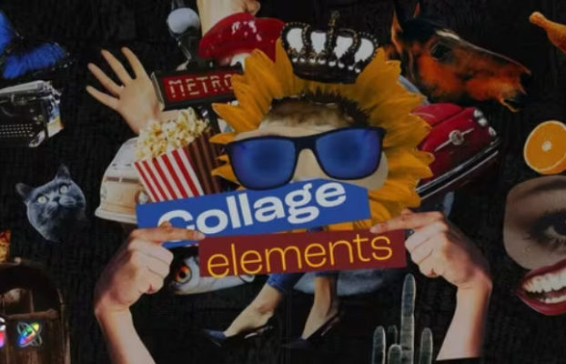 Videohive Creative Collage Pack with Intro and 4 Stories | FCPX & Apple Motion