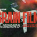 Videohive Grain Film & Light Leaks Transition And Video Effect Premiere Pro