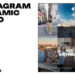 Videohive Instagram Dynamic Intro