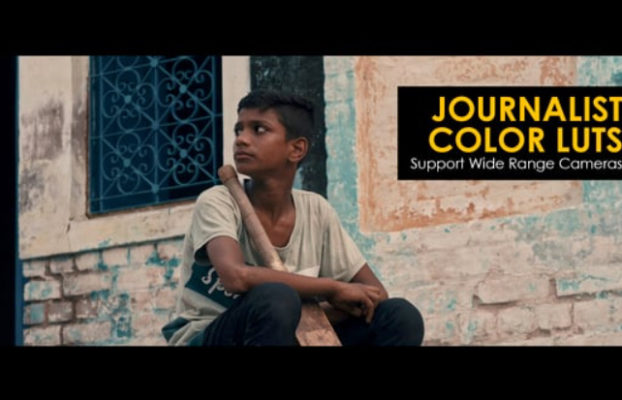 Videohive Journalist LUTs