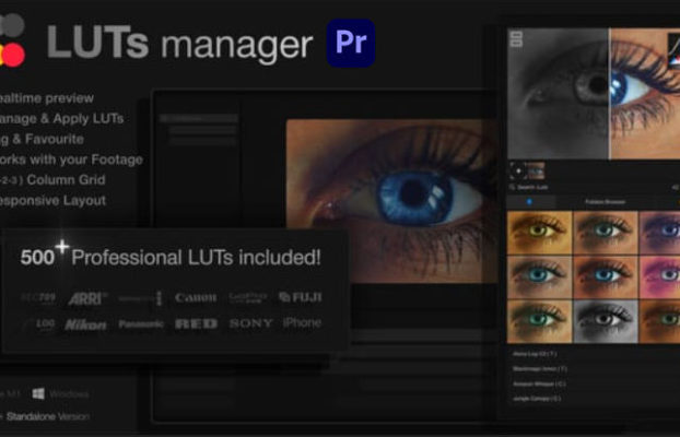 Videohive LUTs Manager: Preview LUTs In Real-time Tool & 500 Professional LUTs For Premiere Pro