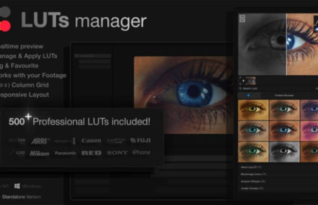Videohive LUTs Manager: Real-Time Bulk Previews Tool & 500 LUTs