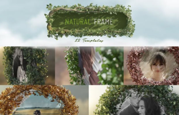 Videohive Natural Frame