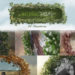 Videohive Natural Frame