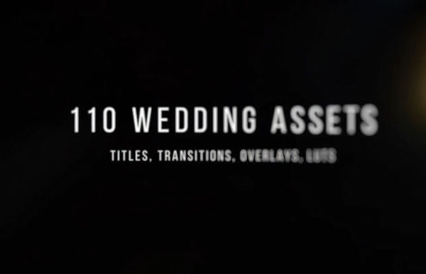 Videohive Pro Wedding Bundle for Premiere Pro – Transitions, Titles, LUTs, Overlays