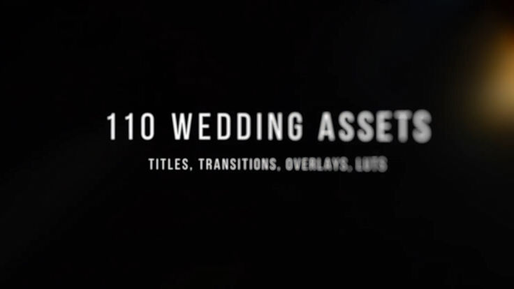 Videohive Pro Wedding Bundle for Premiere Pro – Transitions, Titles, LUTs, Overlays