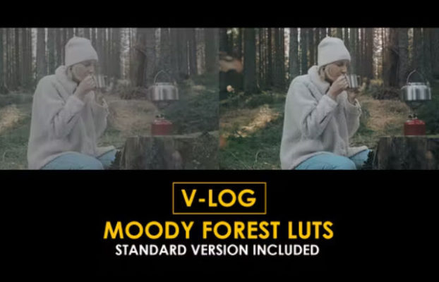 Videohive V-Log Moody Forest and Standard LUTs