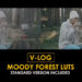 Videohive V-Log Moody Forest and Standard LUTs