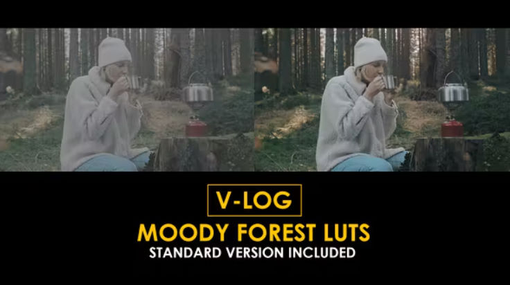 Videohive V-Log Moody Forest and Standard LUTs