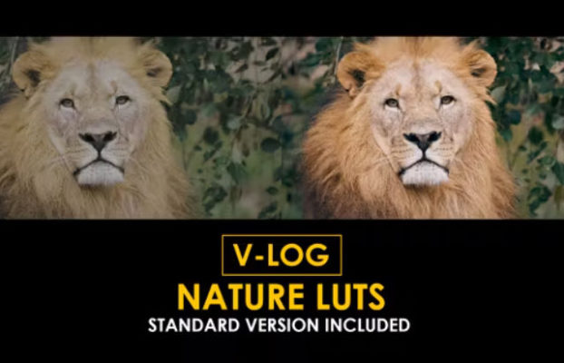 Videohive V-Log Nature and Standard LUTs