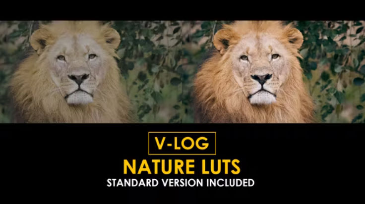 Videohive V-Log Nature and Standard LUTs