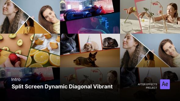Videohive Social Media Reels – Split Screen Dynamic Vibrant After Effects Project Files