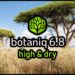 Blender Market - Tree And Grass Library Botaniq Free Tree Addon Trees+Grass Trees V6.8