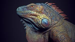 Gumroad – Organic Real Time Texturing in Substance Painter Full Course Iguana