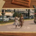 Videohive Investigation Slideshow For After Effects
