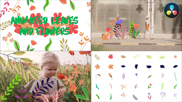 VideoHive Animated Leaves And Flowers for DaVinci Resolve