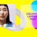 VideoHive Creative Glassmorphic Opener 42462161