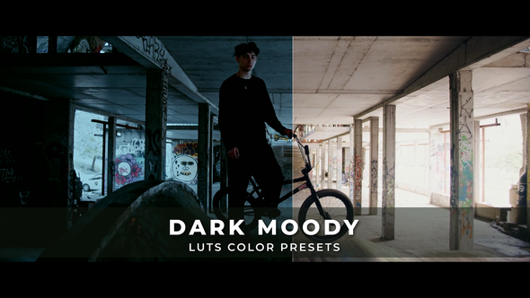 VideoHive Dark Moody Luts