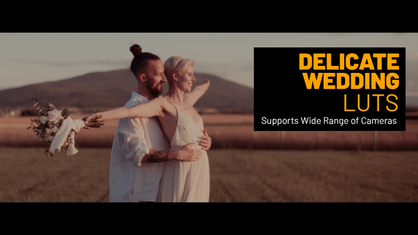 VideoHive Delicate Wedding LUTs