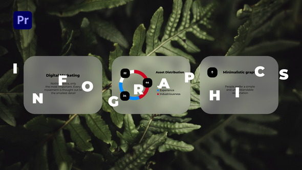 VideoHive Infographics